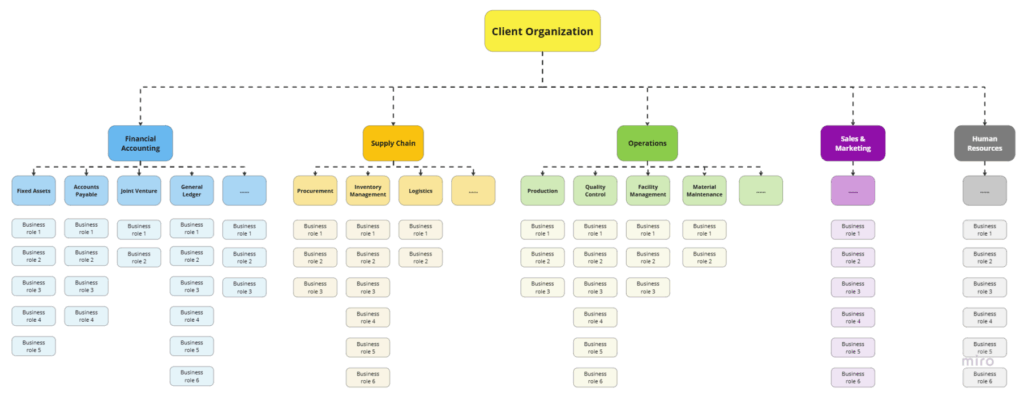 SAP roles for a multinational organization