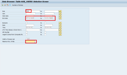 AGR_USERS Query Selection Screen
