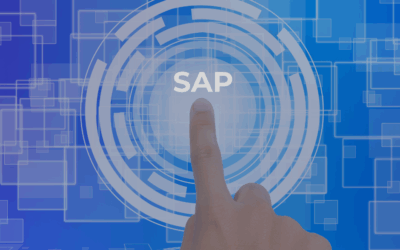 How to Audit SAP Super Role Assignments